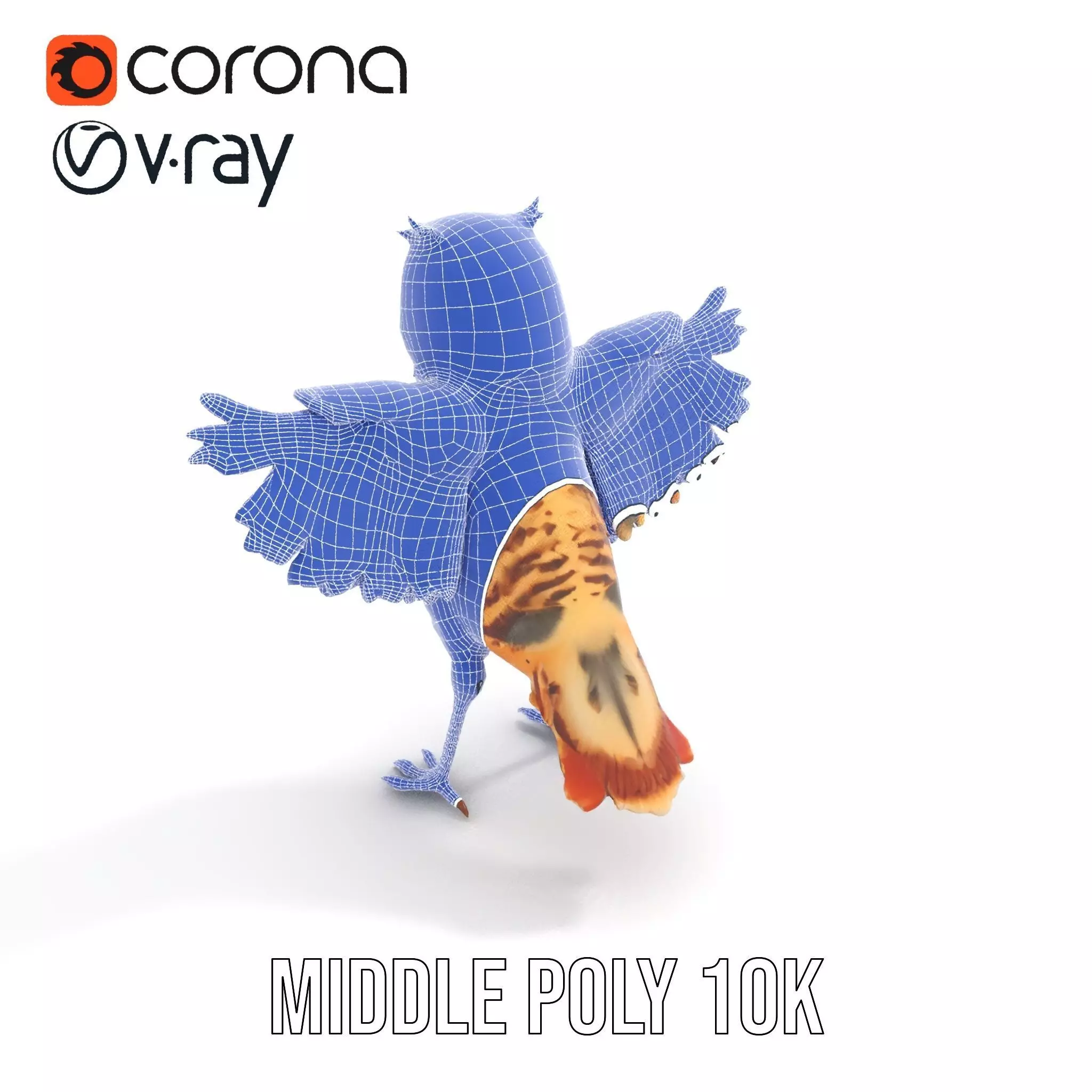 Vibrant Owl Wingspread model pack Low-poly 3D model_14