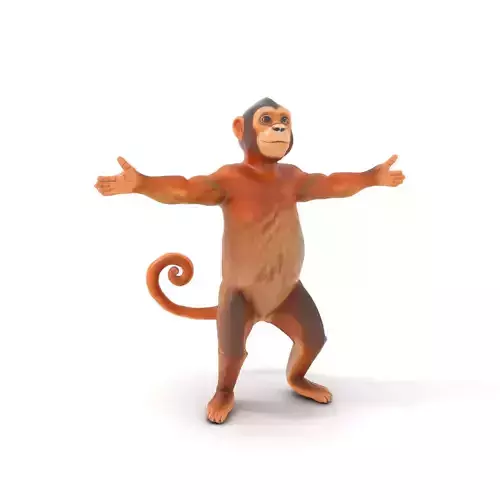Animated Monkey Character model pack Low-poly 3D model