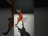 Cheerful Fox Cartoon model pack Low-poly 3D model_2