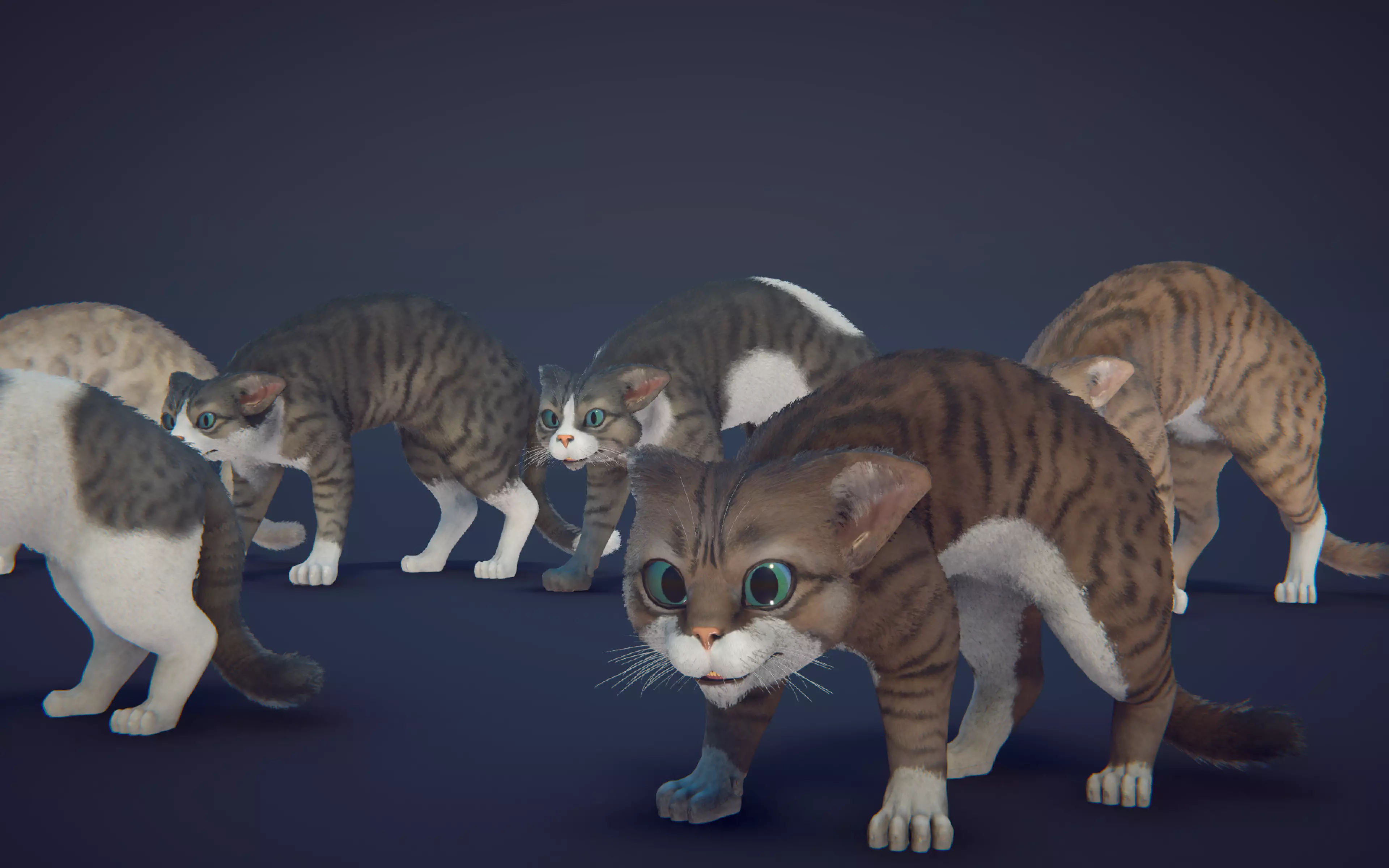 Cat Animset Pro Low-poly 3D model_42