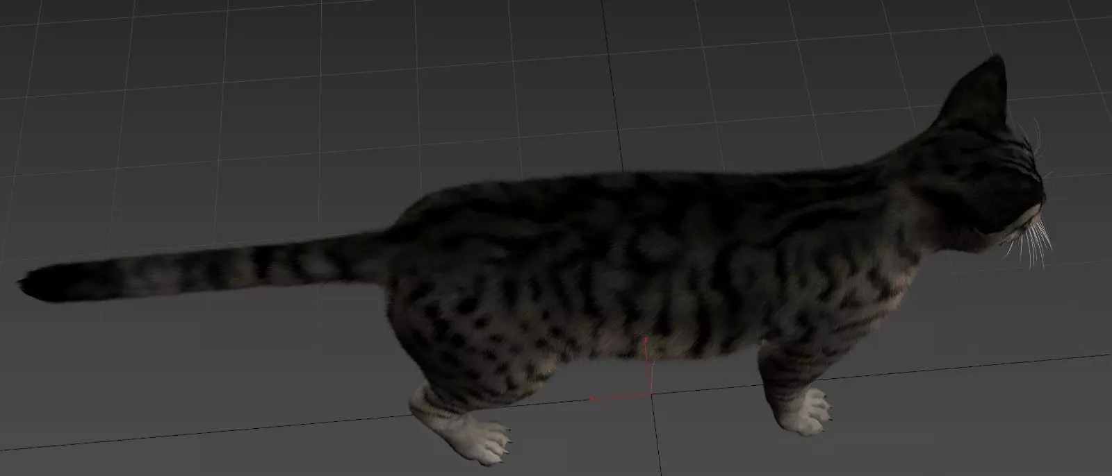 Cat Animset Pro Low-poly 3D model_16