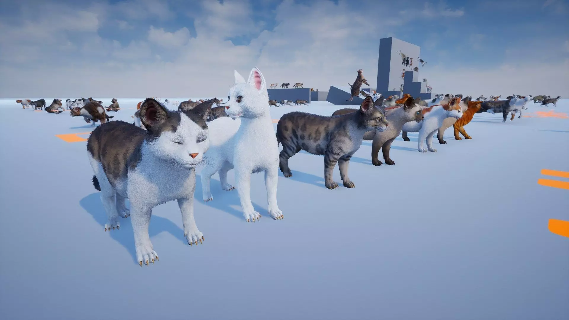 Cat Animset Pro Low-poly 3D model_24