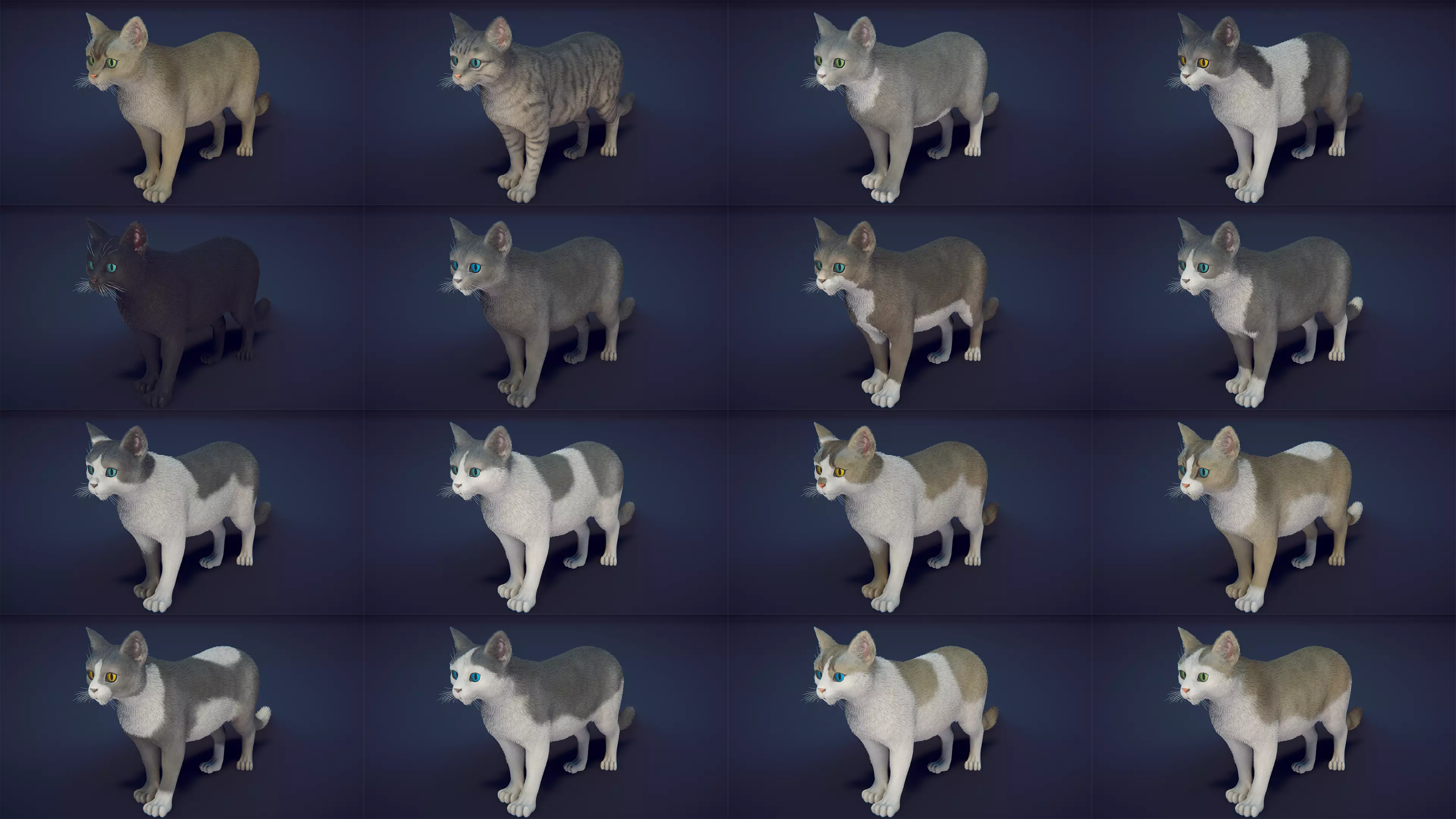 Cat Animset Pro Low-poly 3D model_5
