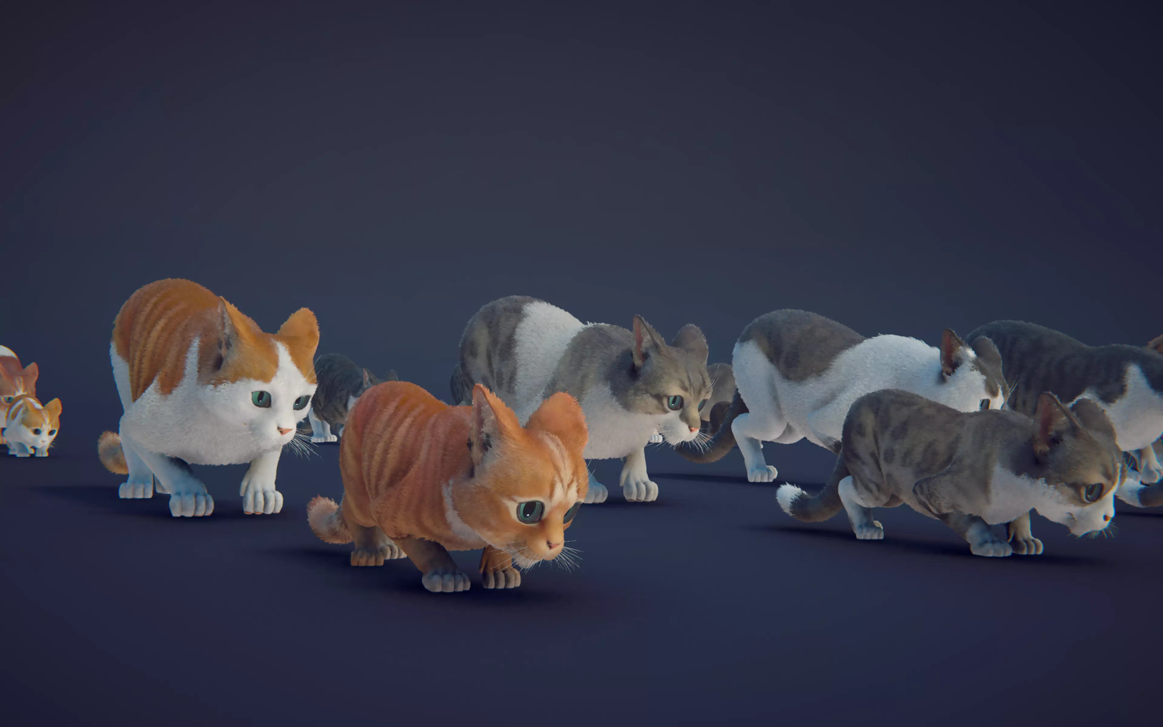 Cat Animset Pro Low-poly 3D model_31