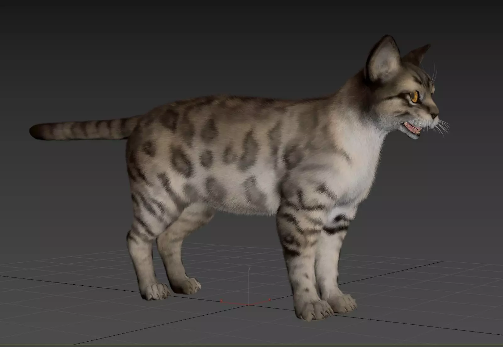 Cat Animset Pro Low-poly 3D model_15