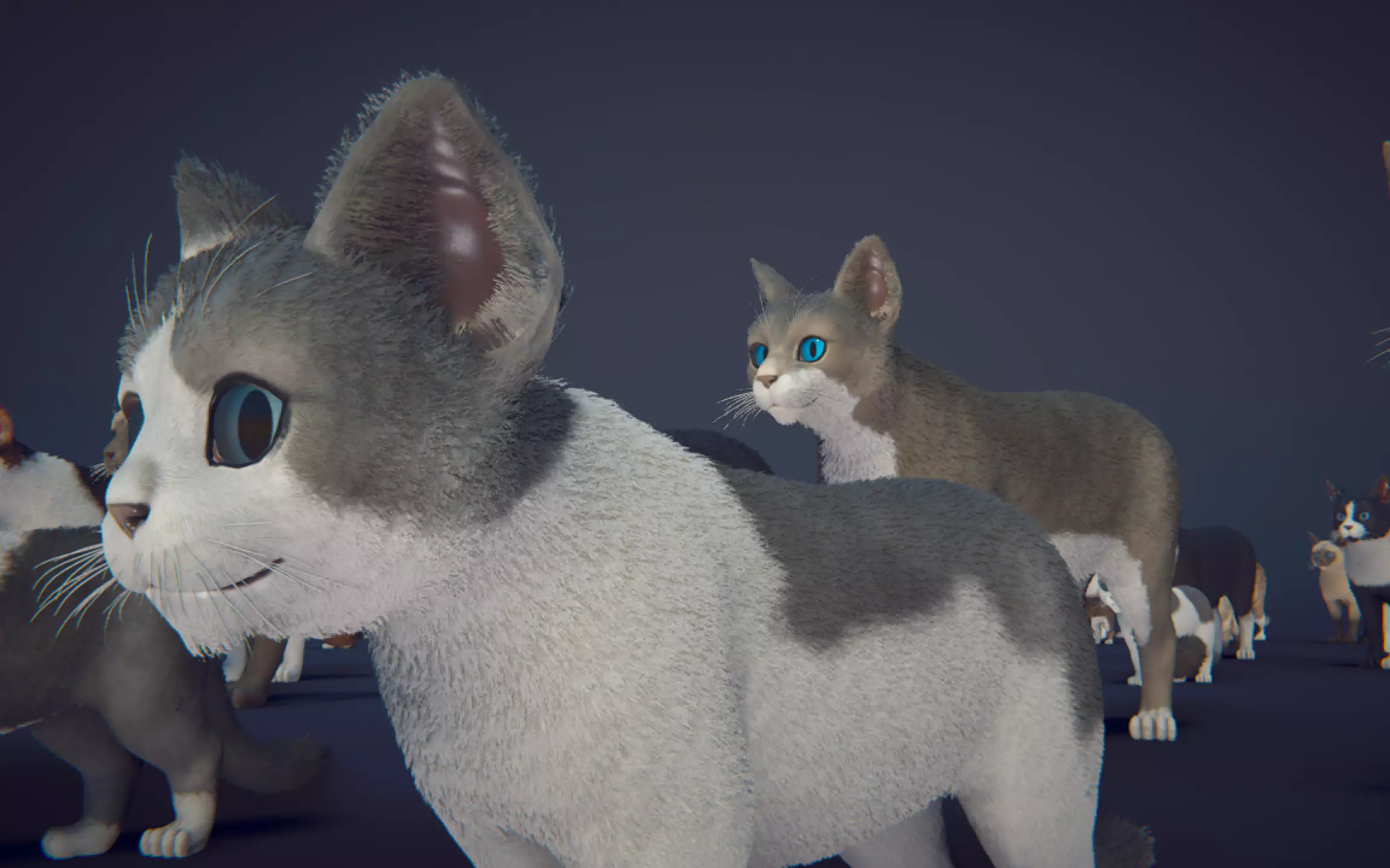 Cat Animset Pro Low-poly 3D model_28