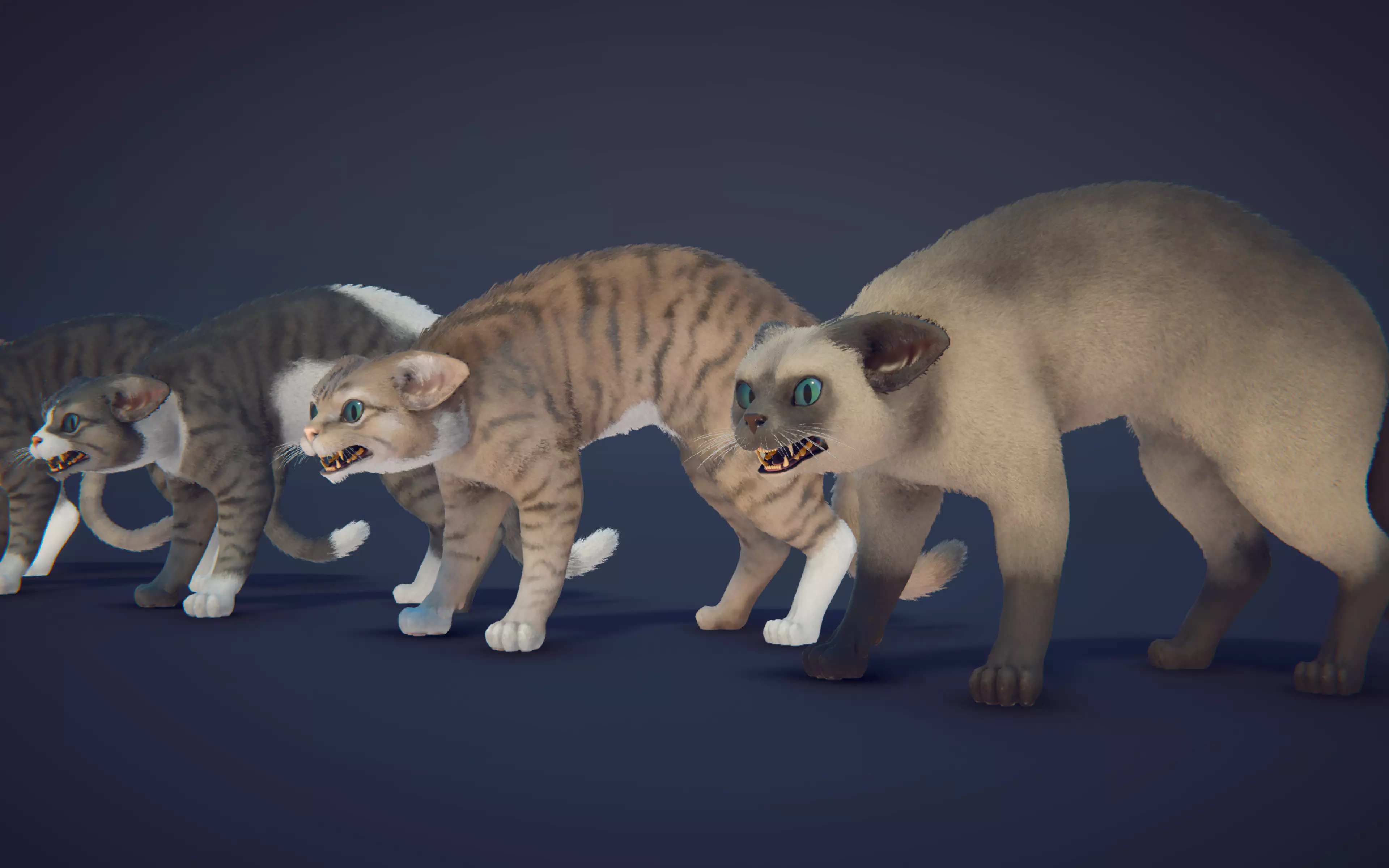 Cat Animset Pro Low-poly 3D model_38