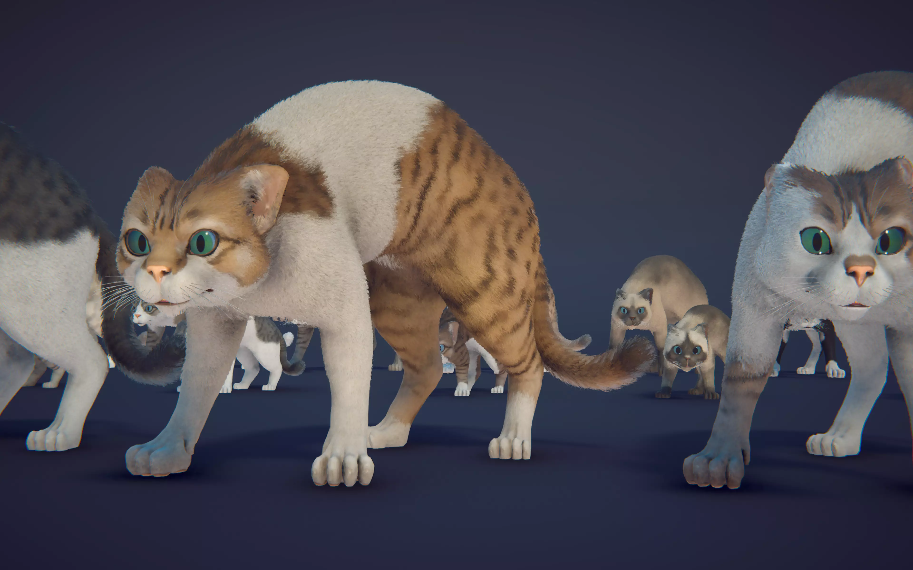 Cat Animset Pro Low-poly 3D model_39