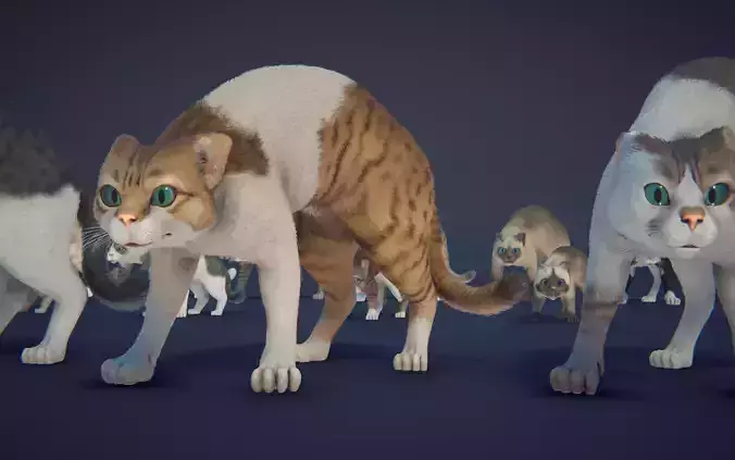 Cat Animset Pro