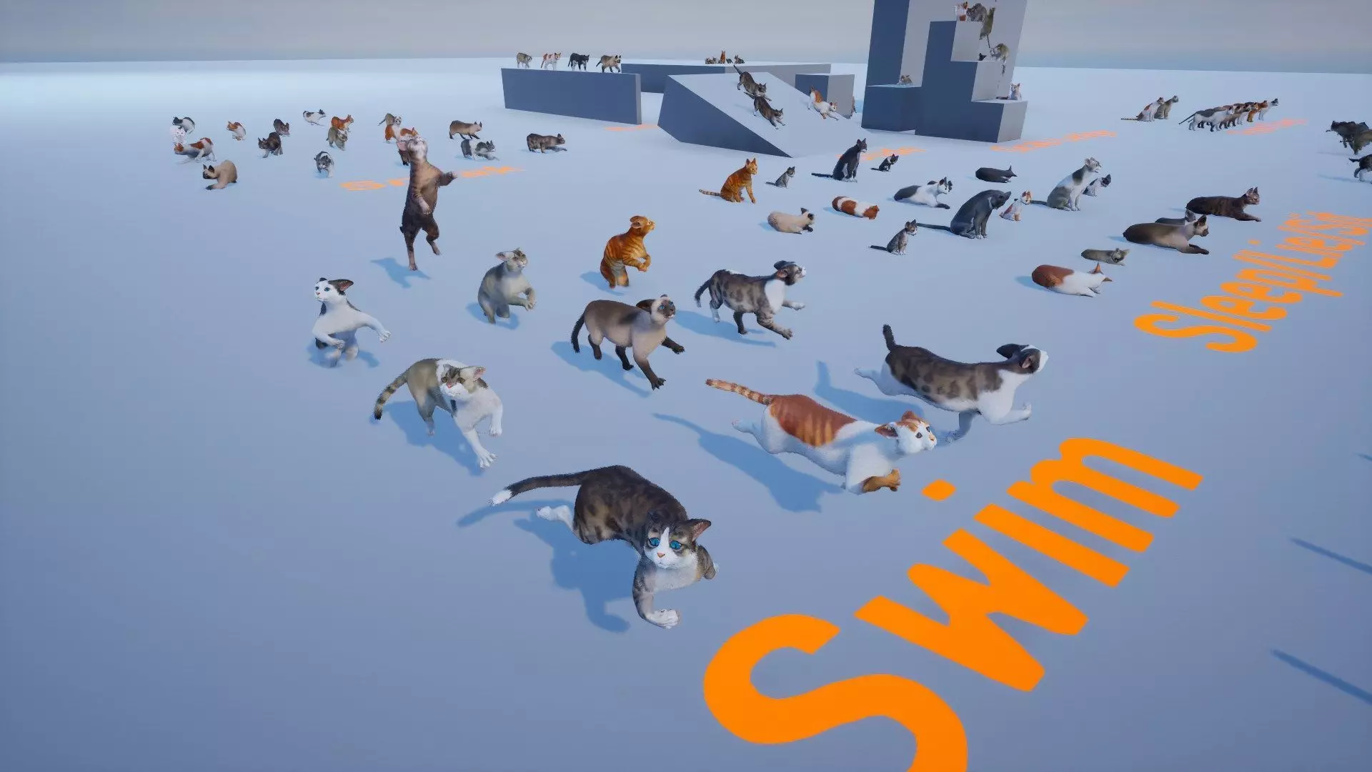 Cat Animset Pro Low-poly 3D model_18