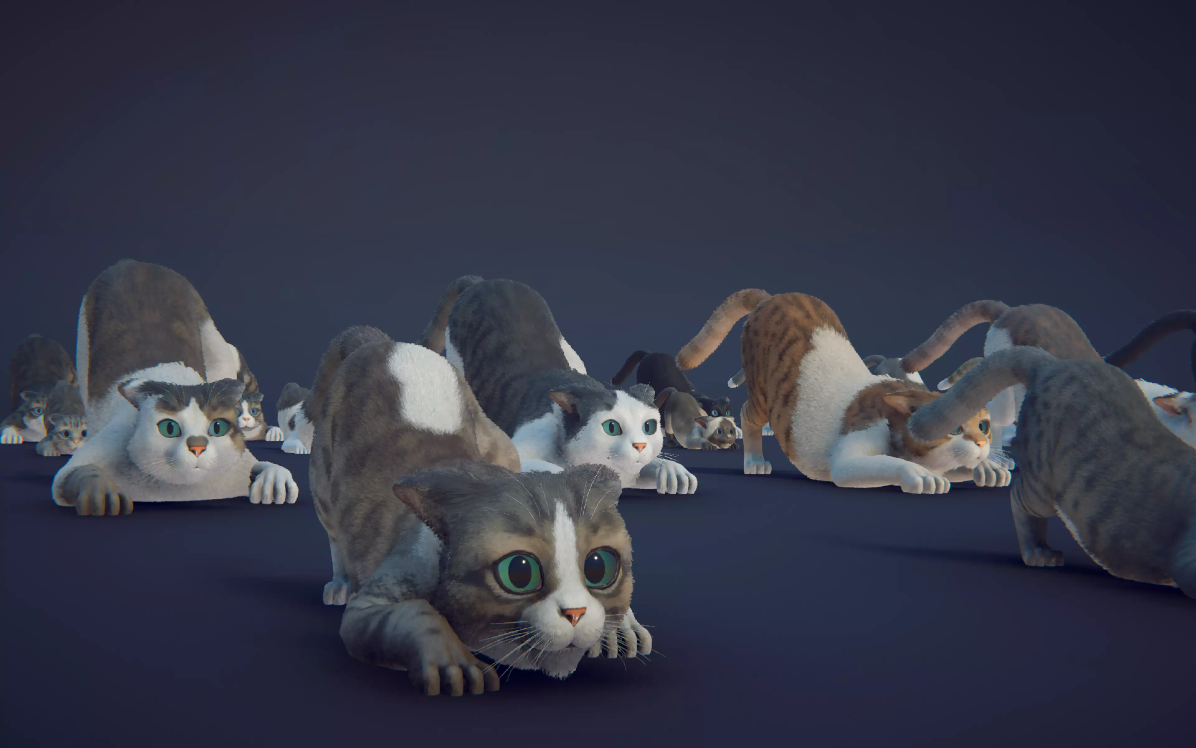 Cat Animset Pro Low-poly 3D model_32