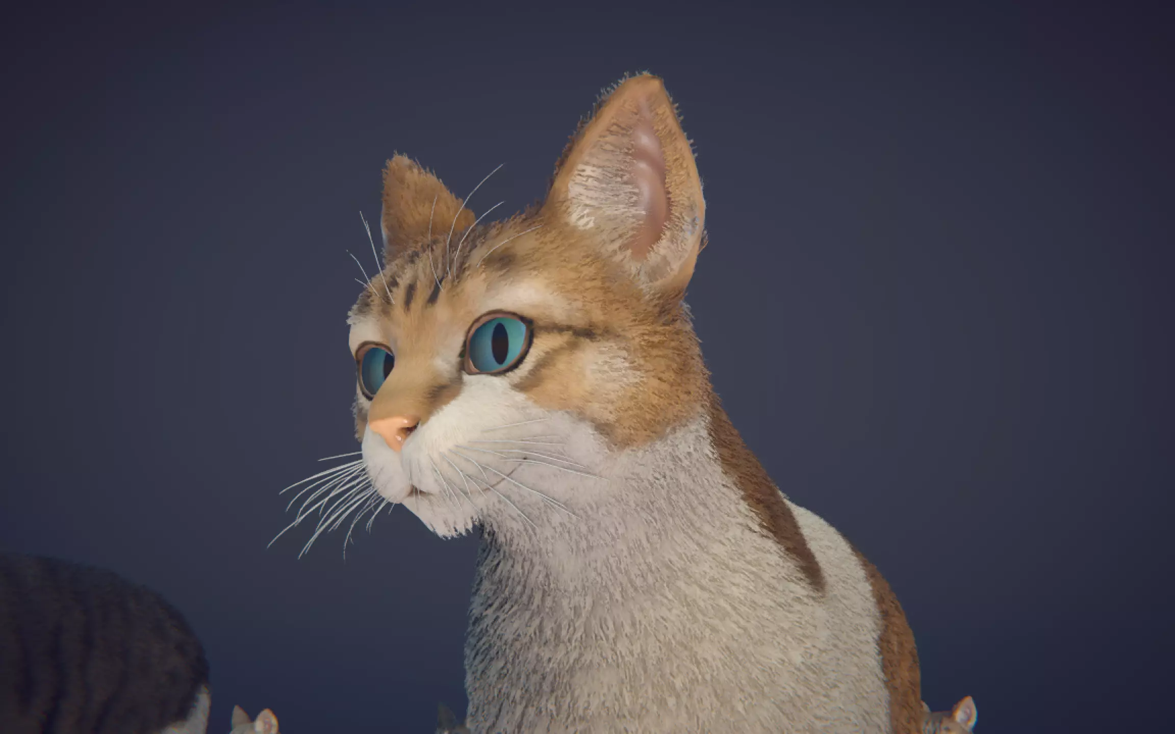 Cat Animset Pro Low-poly 3D model_30