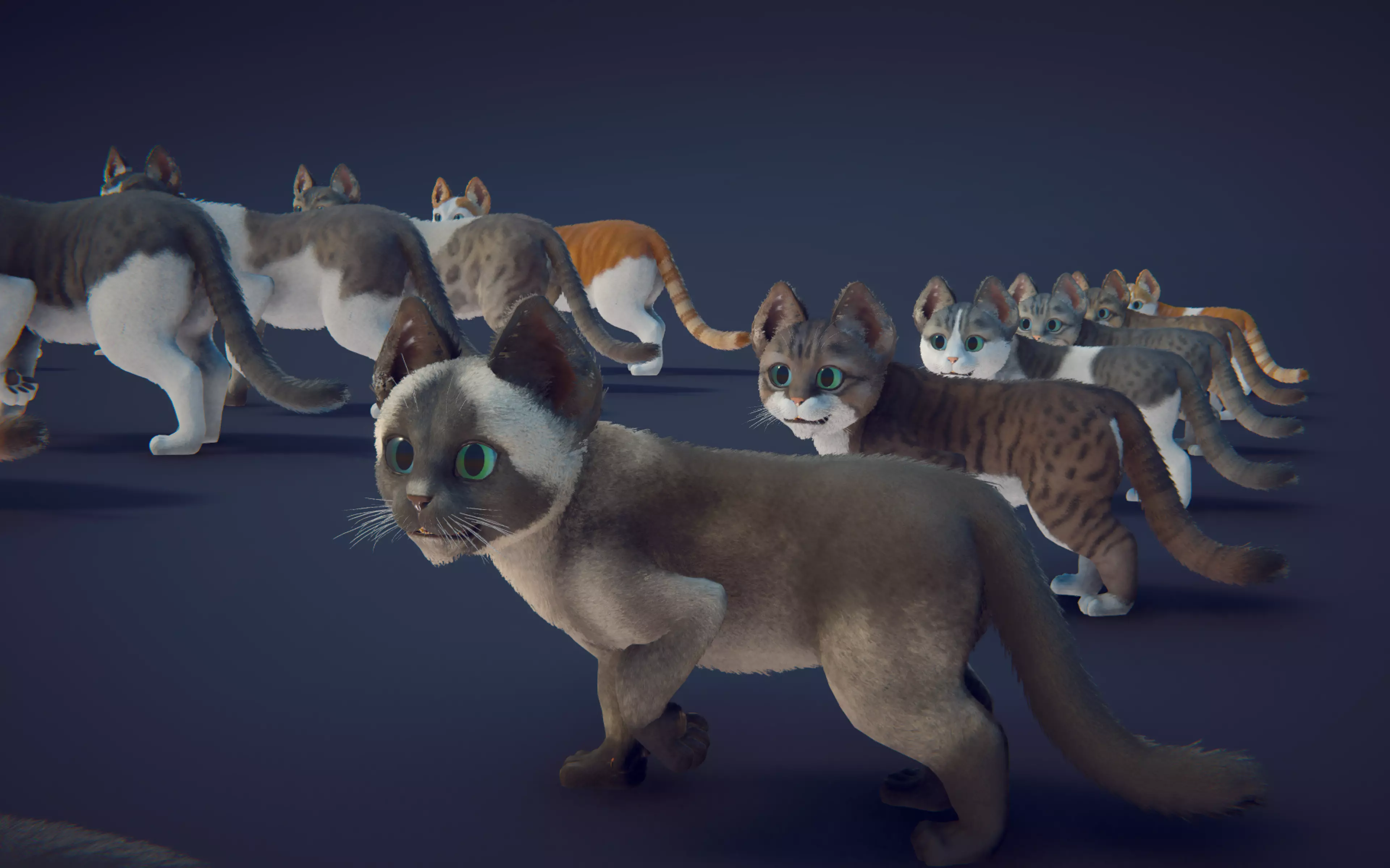 Cat Animset Pro Low-poly 3D model_43
