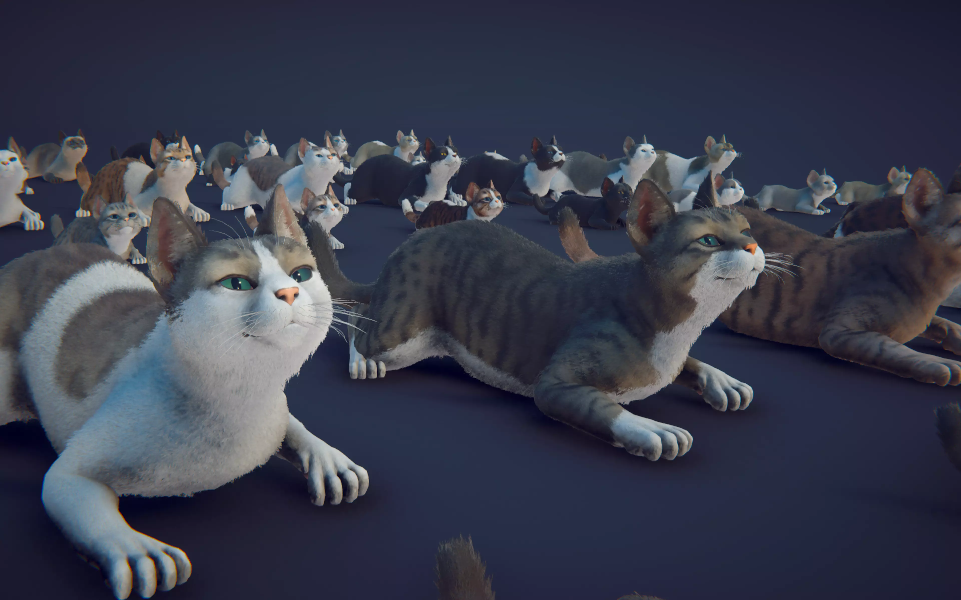 Cat Animset Pro Low-poly 3D model_40