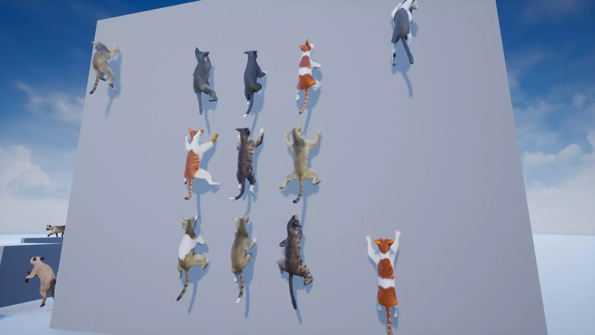Cat Animset Pro Low-poly 3D model_20