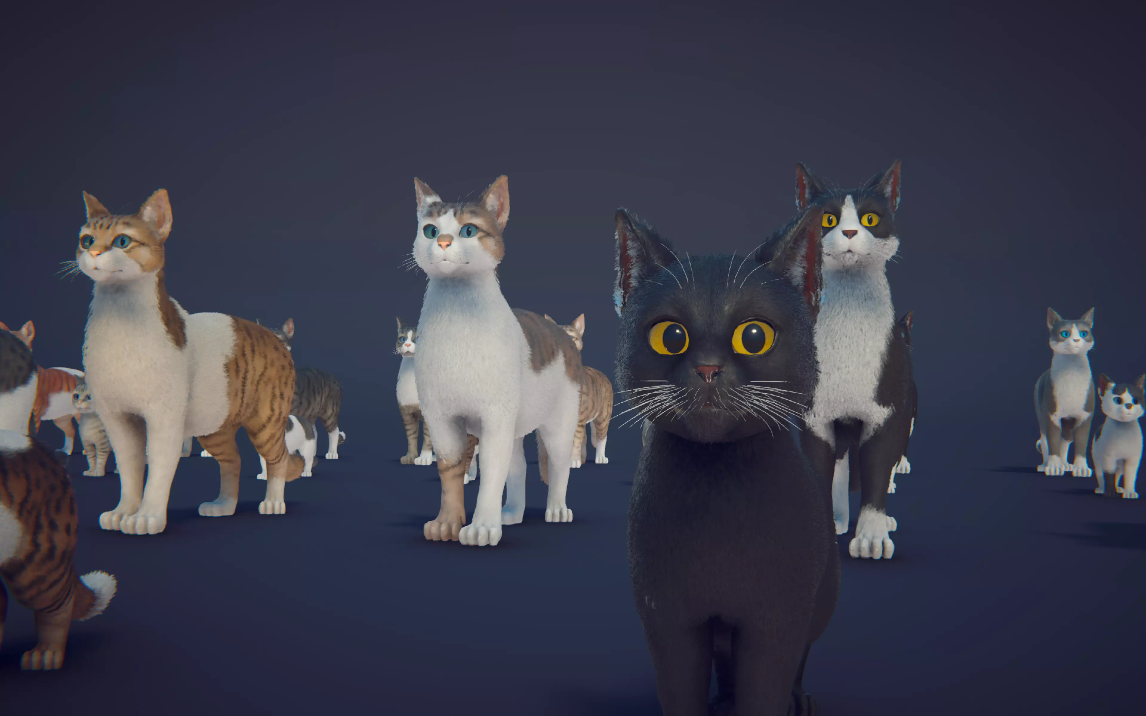 Cat Animset Pro Low-poly 3D model_33