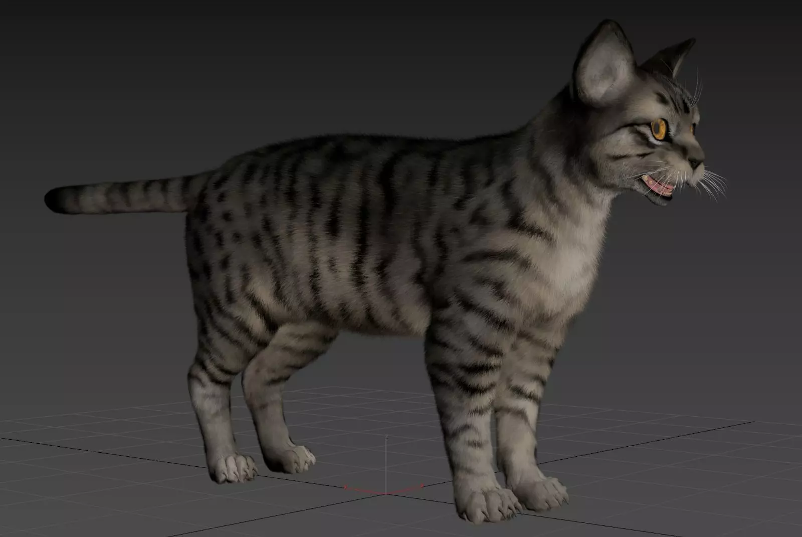 Cat Animset Pro Low-poly 3D model_9