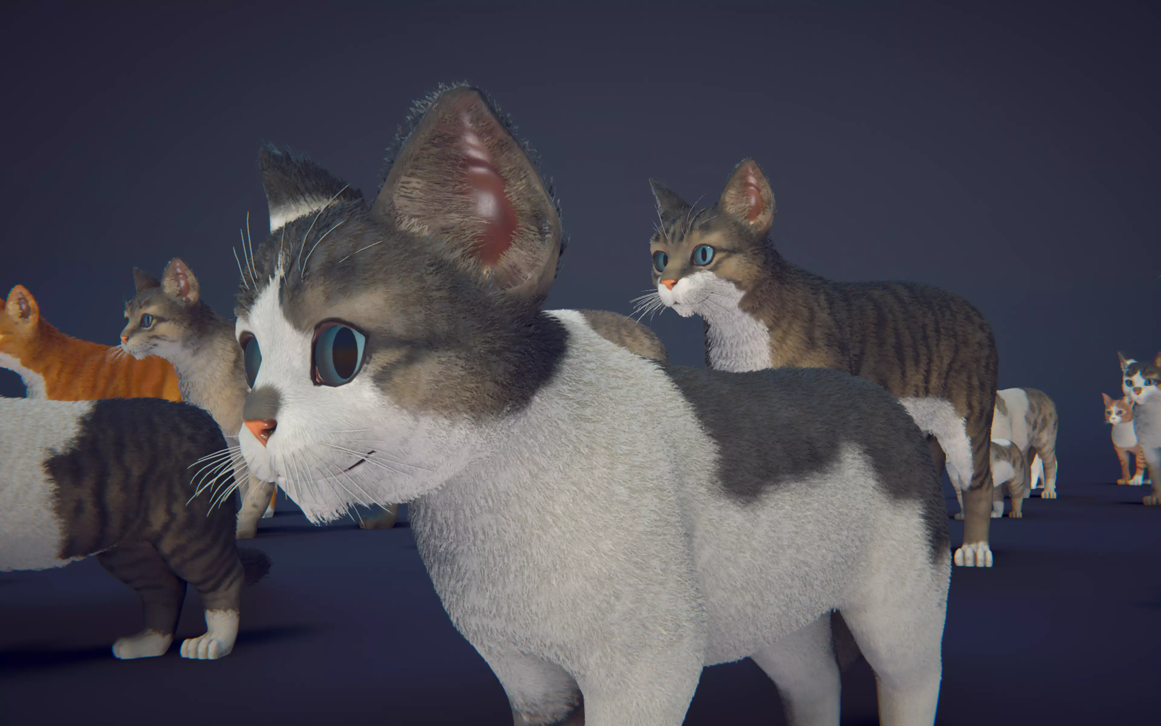 Cat Animset Pro Low-poly 3D model_44