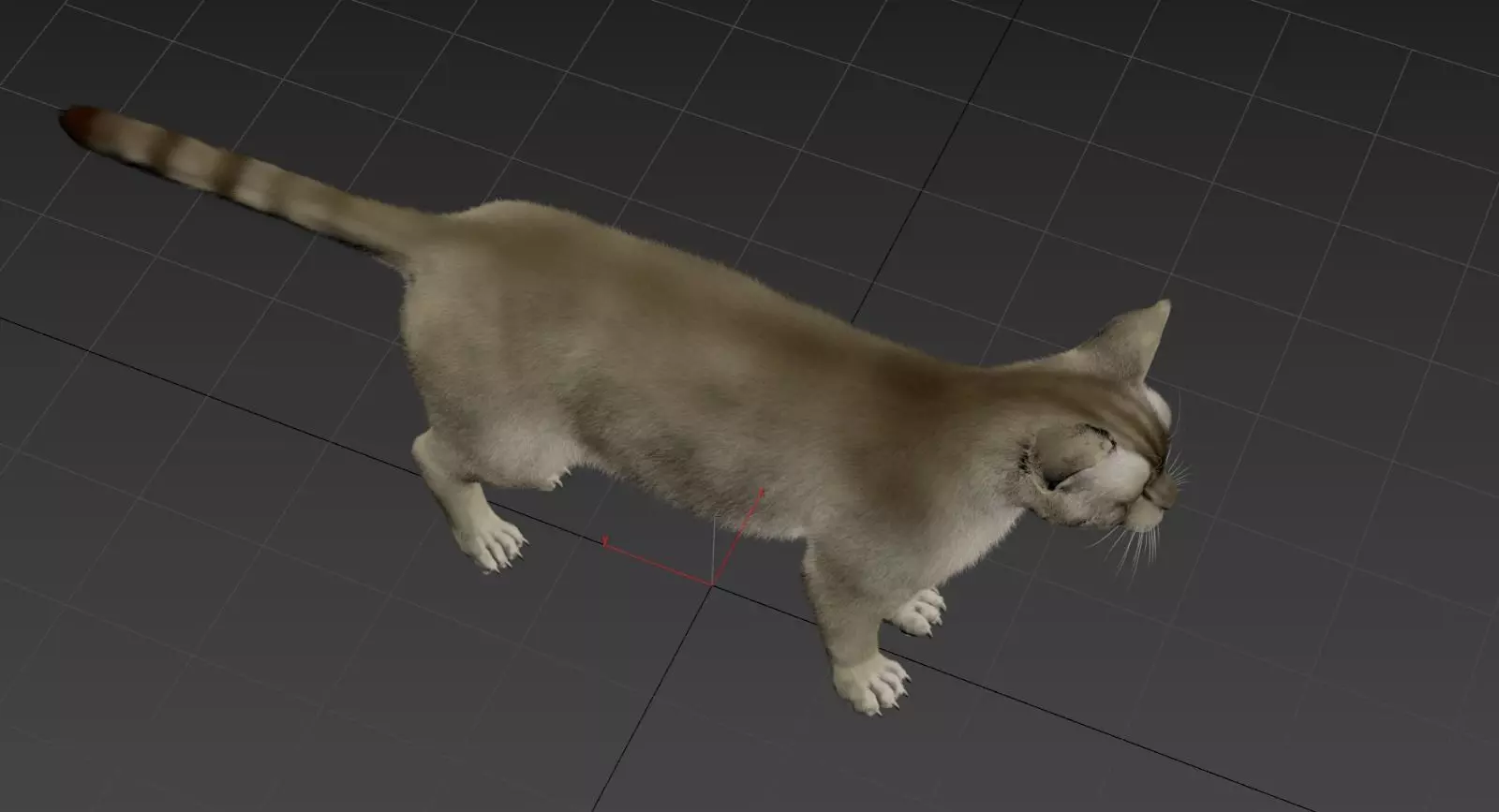 Cat Animset Pro Low-poly 3D model_12