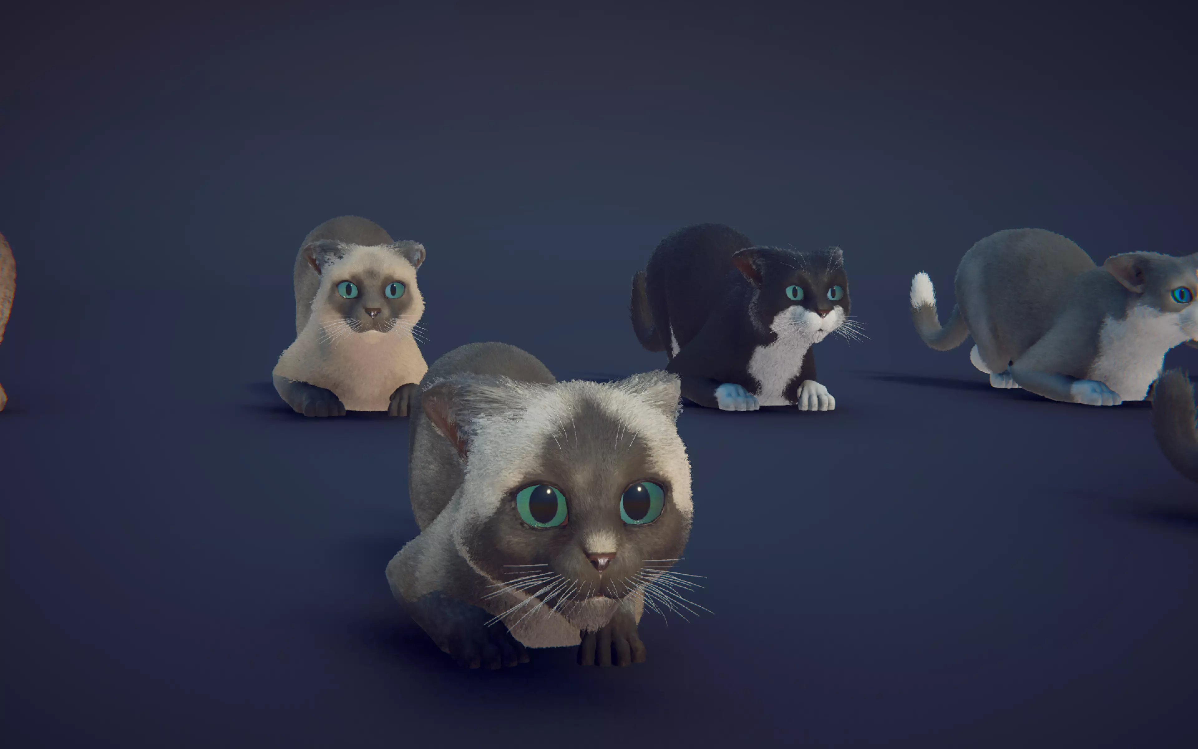 Cat Animset Pro Low-poly 3D model_35