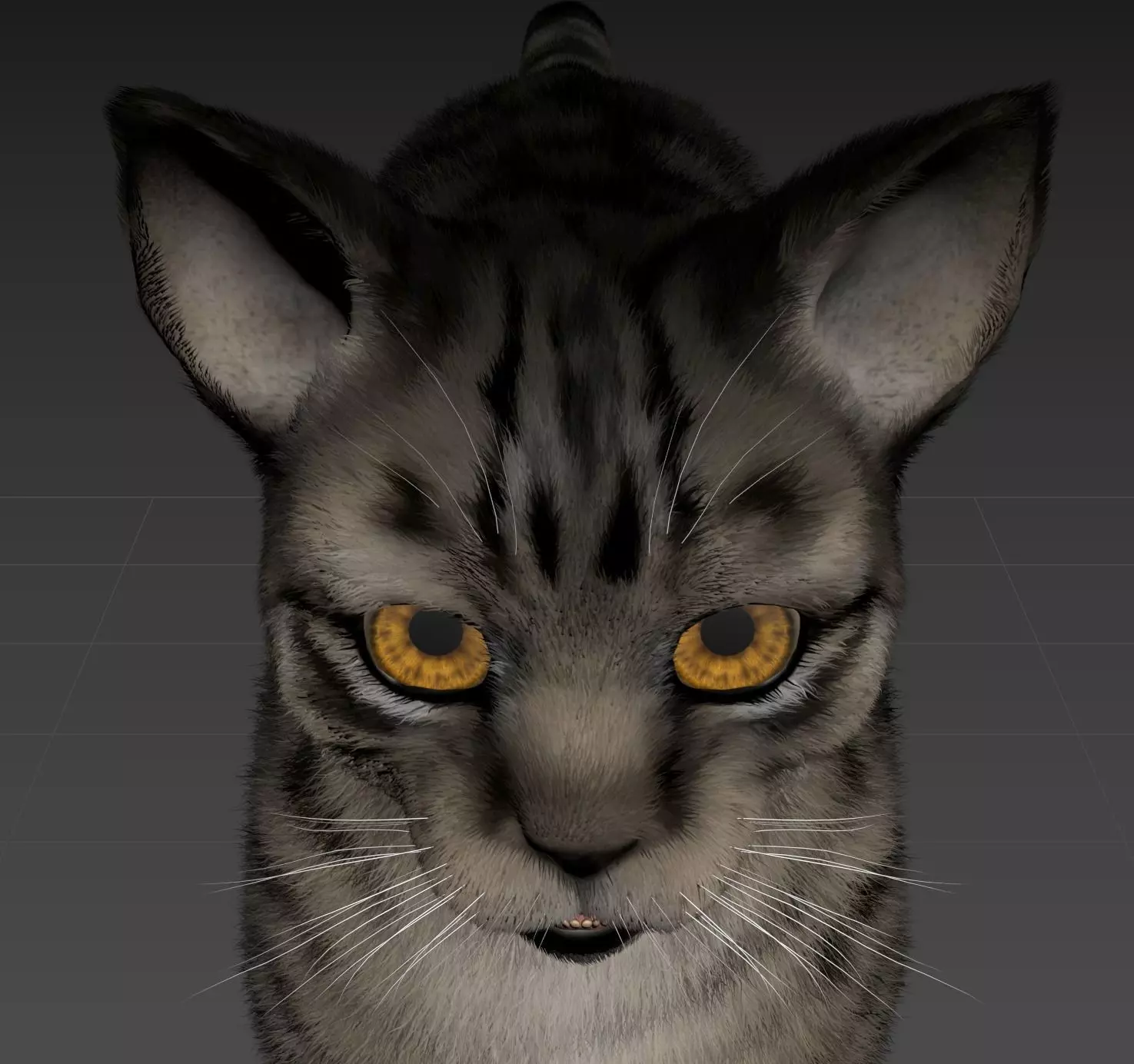Cat Animset Pro Low-poly 3D model_10