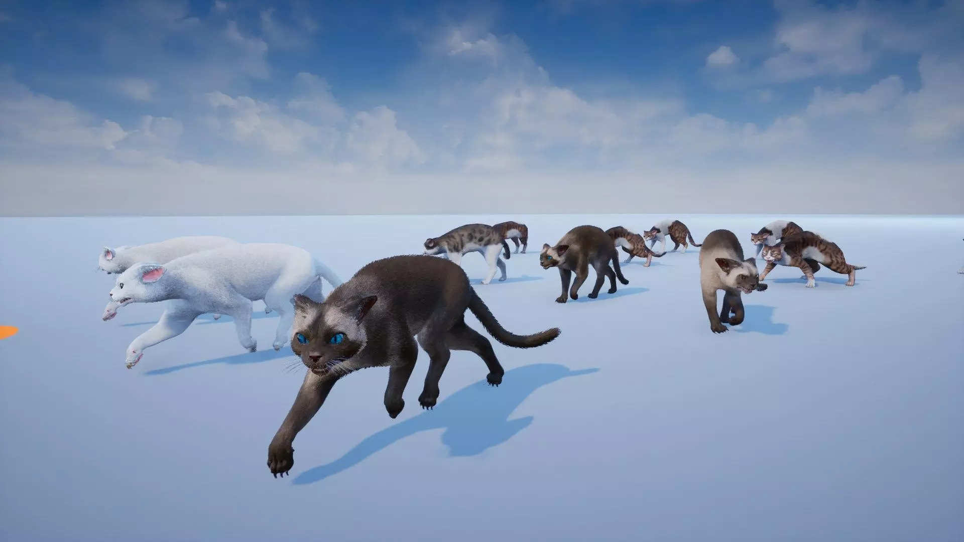 Cat Animset Pro Low-poly 3D model_21