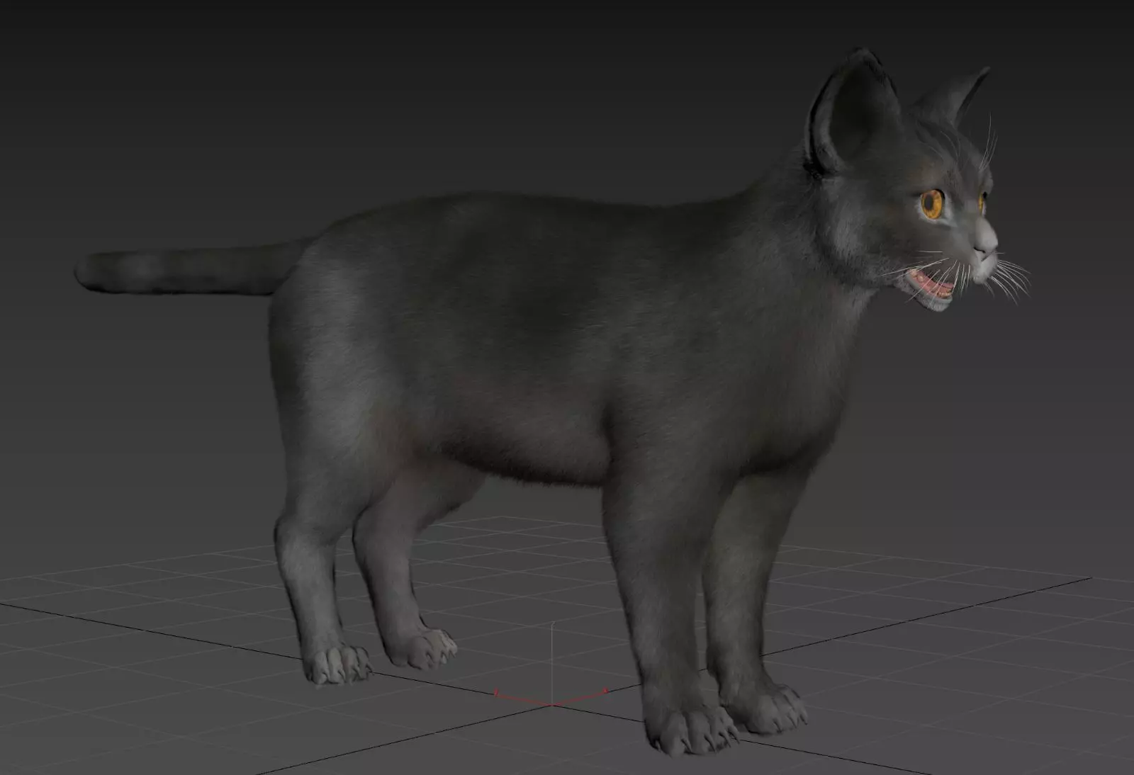 Cat Animset Pro Low-poly 3D model_14