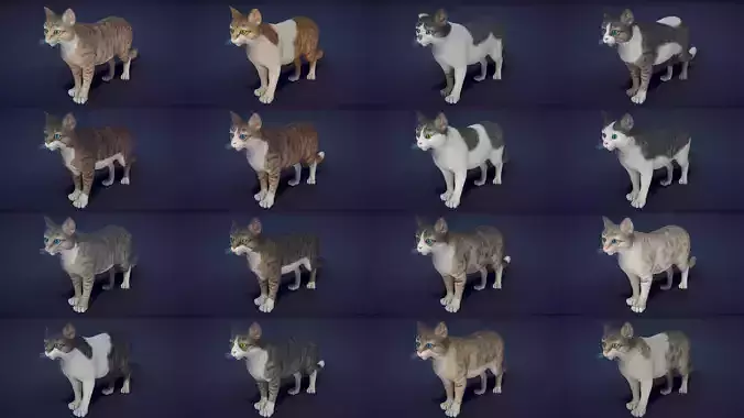 Cat Animset Pro Low-poly 3D model Cat Animset Pro Low-poly 3D model