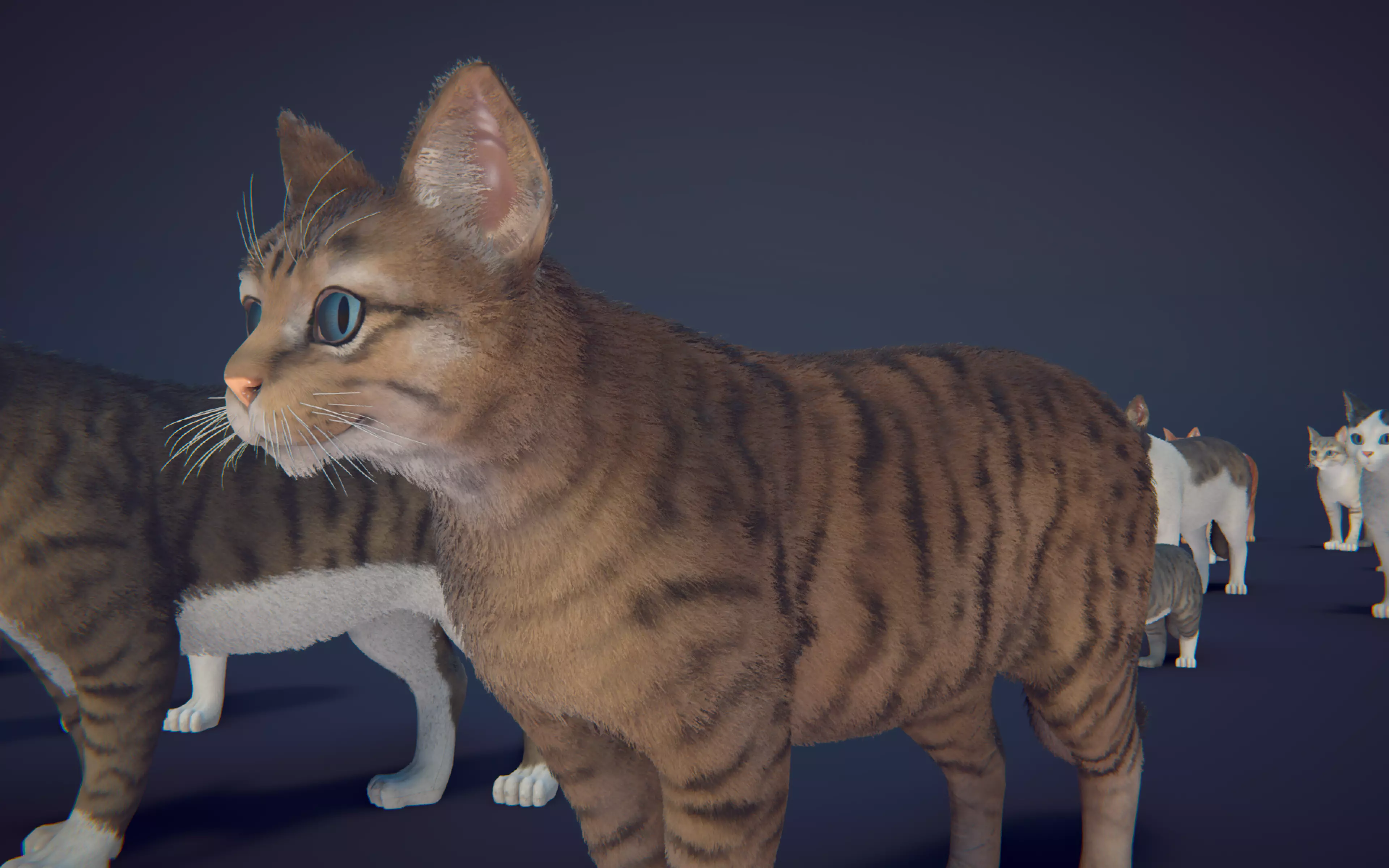 Cat Animset Pro Low-poly 3D model_46