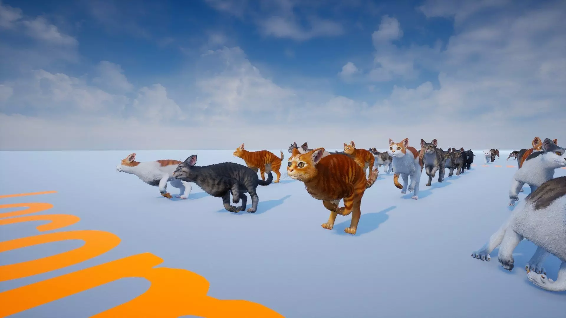 Cat Animset Pro Low-poly 3D model_23