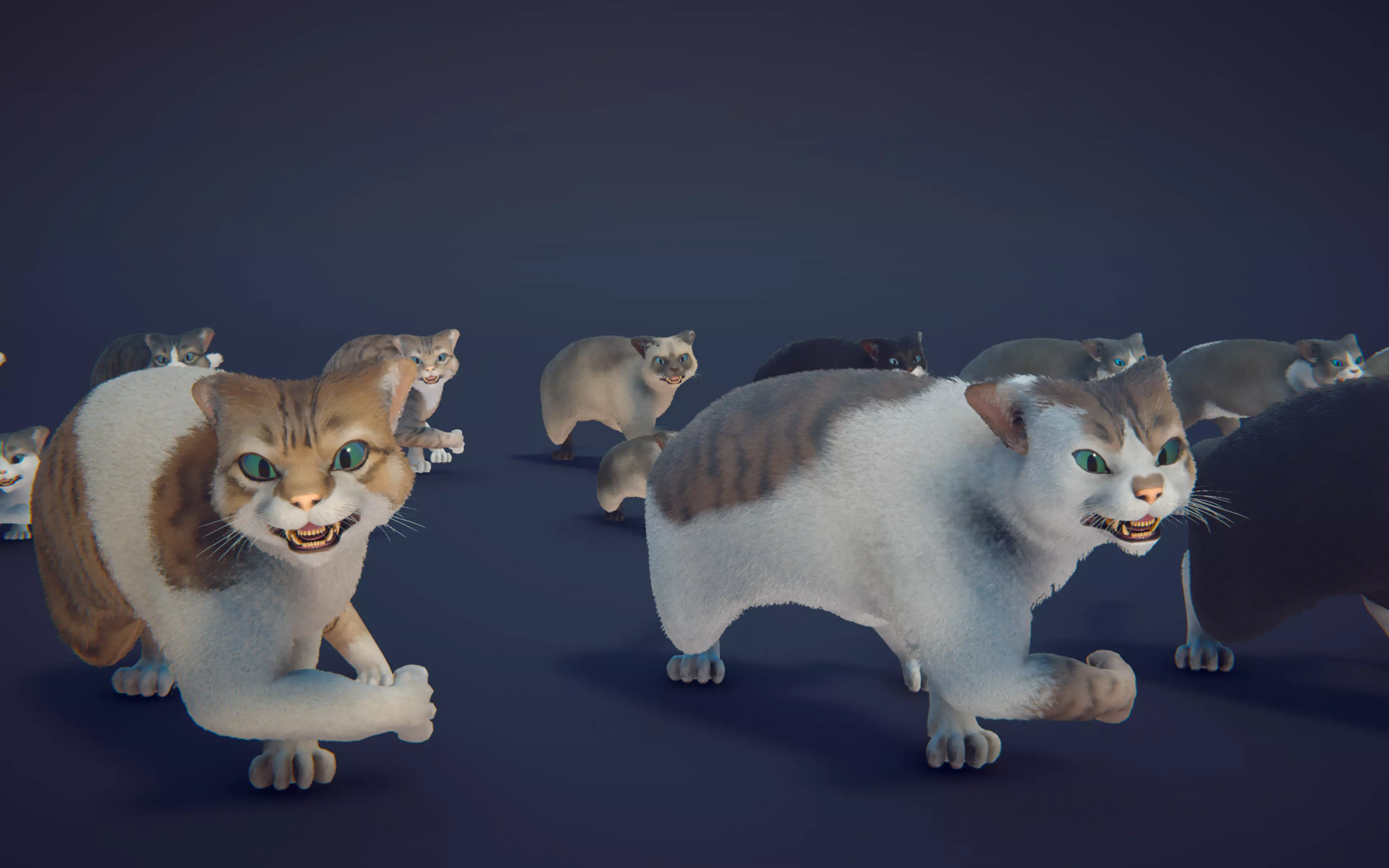 Cat Animset Pro Low-poly 3D model_41