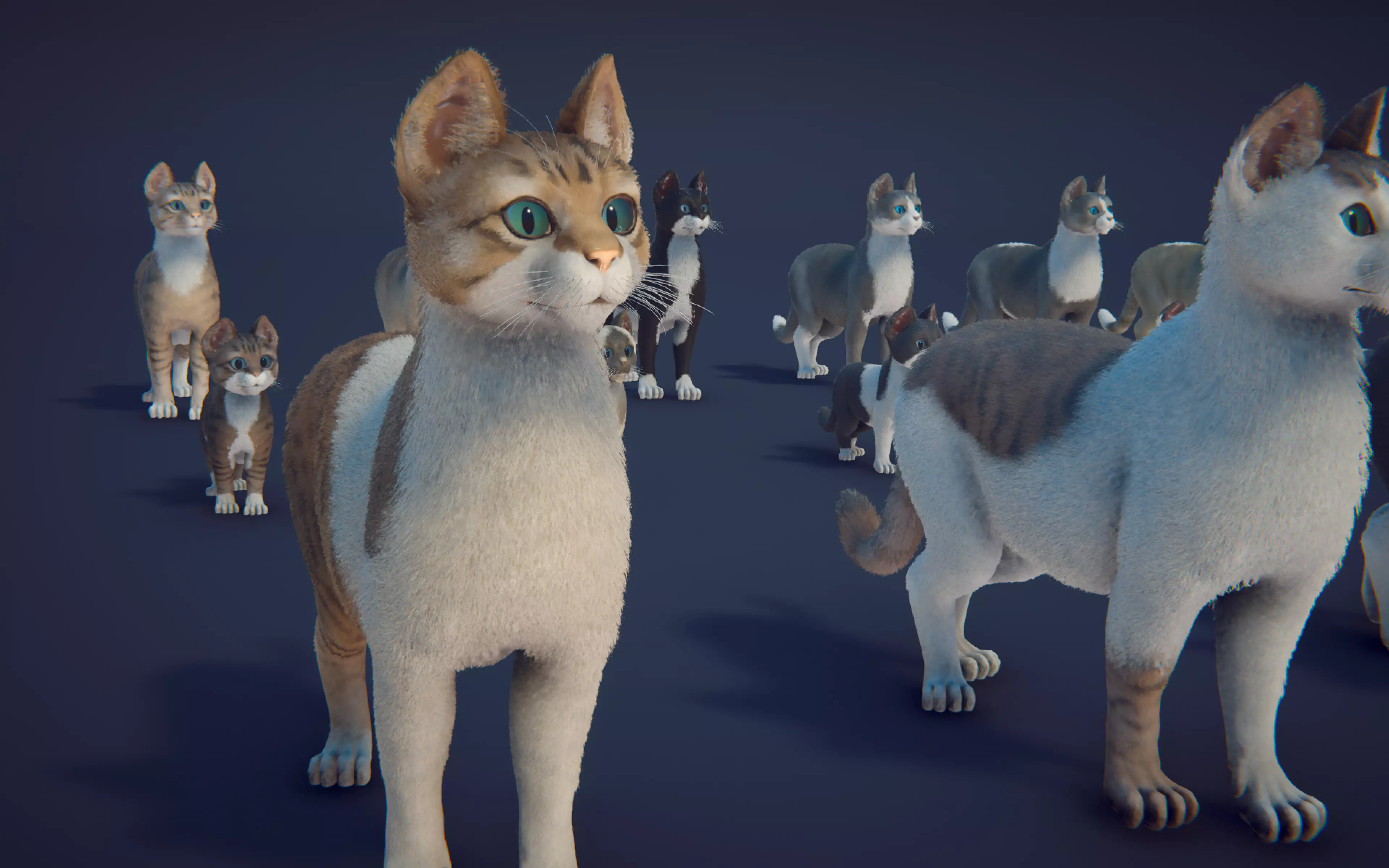 Cat Animset Pro Low-poly 3D model_45