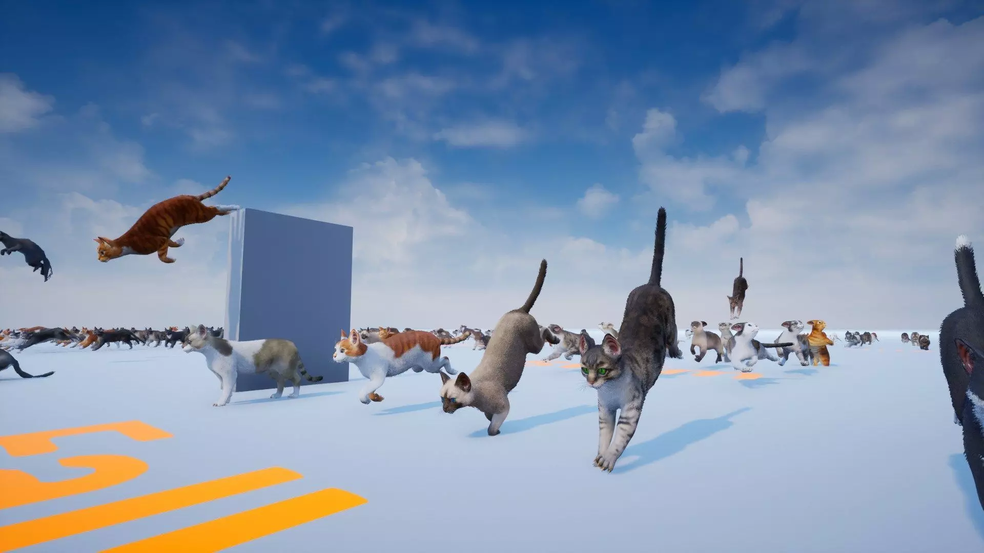 Cat Animset Pro Low-poly 3D model_22