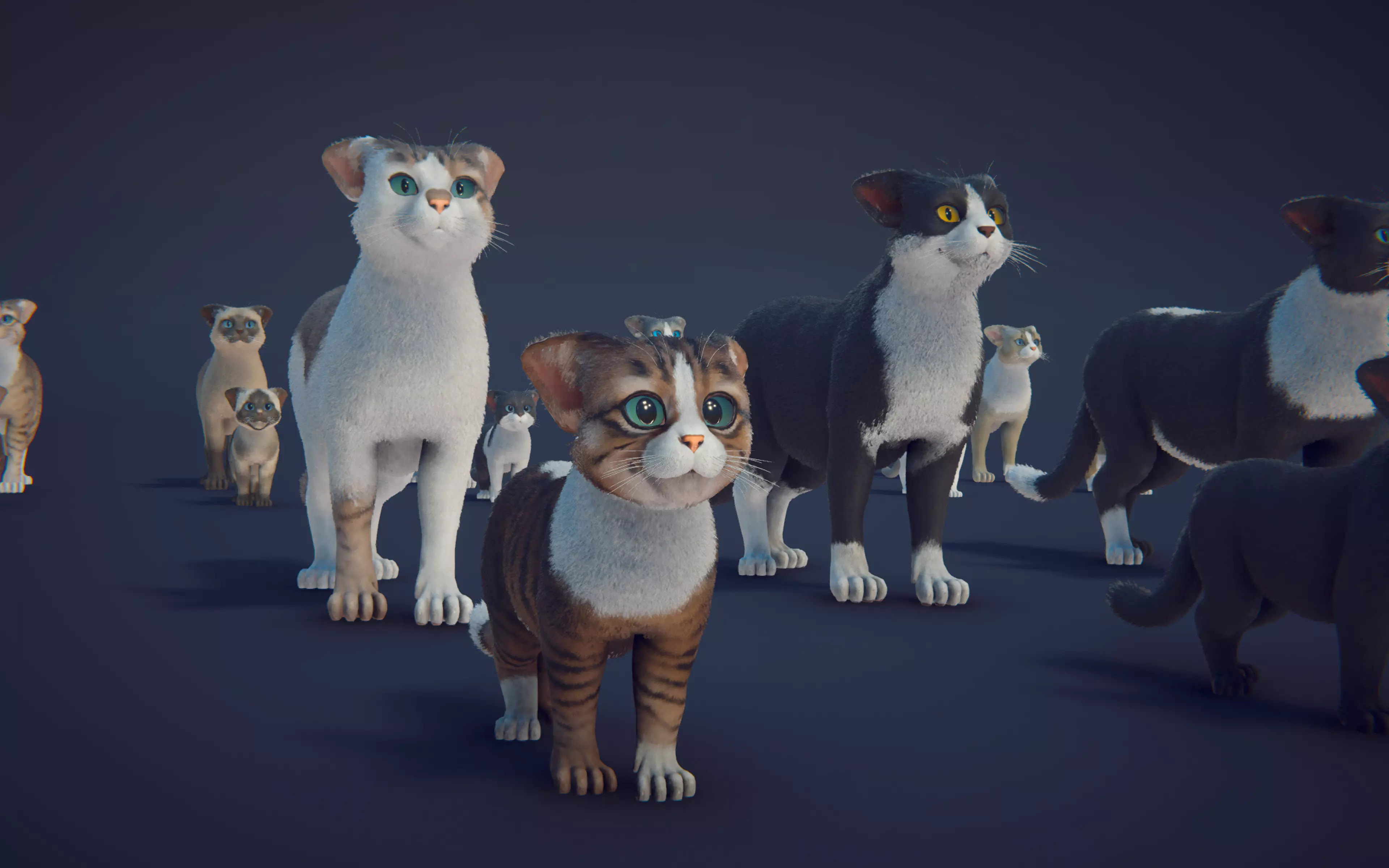 Cat Animset Pro Low-poly 3D model_37