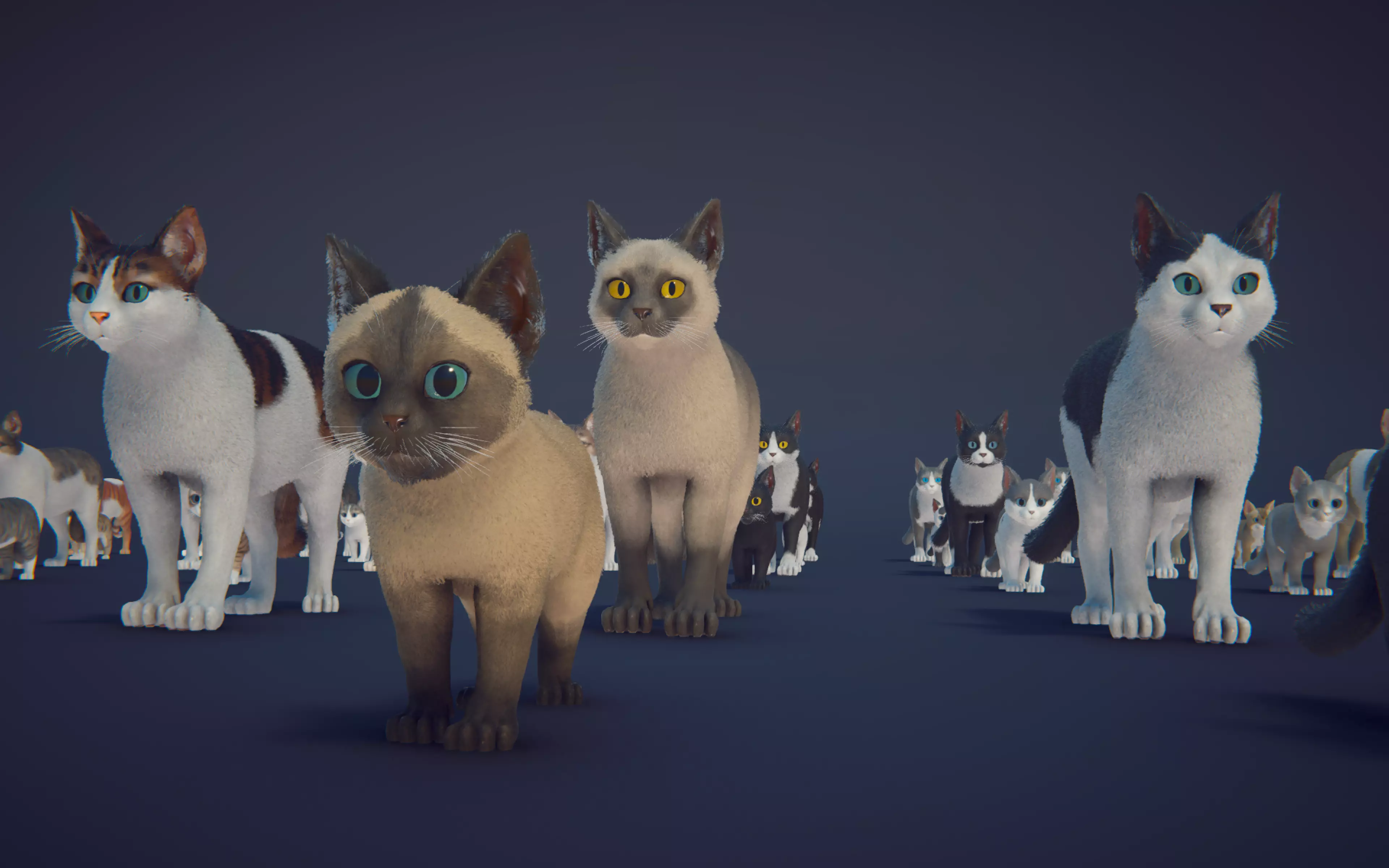 Cat Animset Pro Low-poly 3D model_34