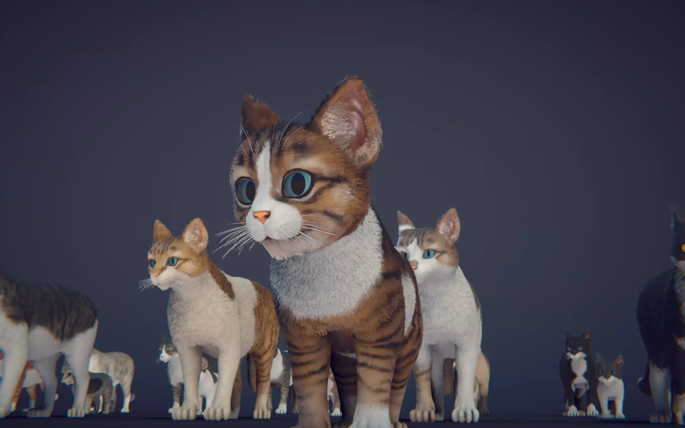 Cat Animset Pro Low-poly 3D model_29