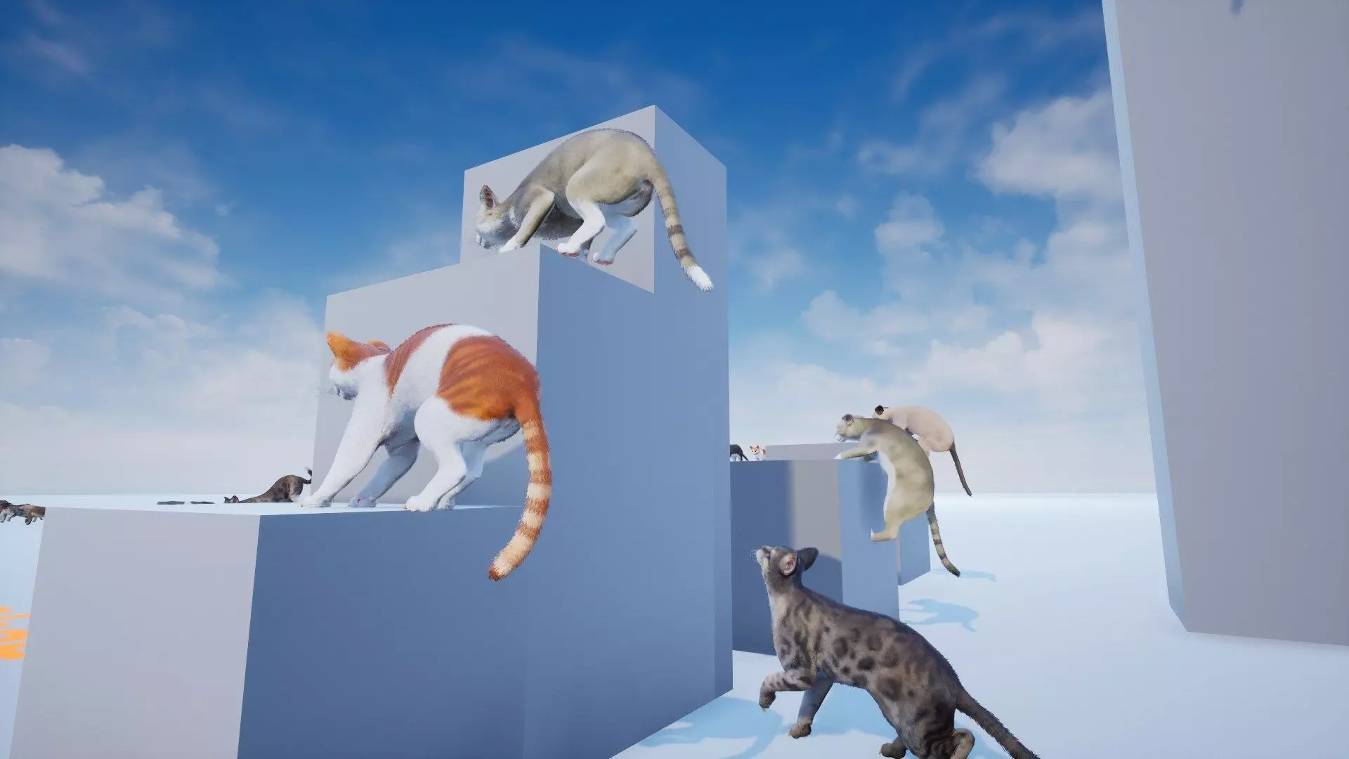 Cat Animset Pro Low-poly 3D model_17
