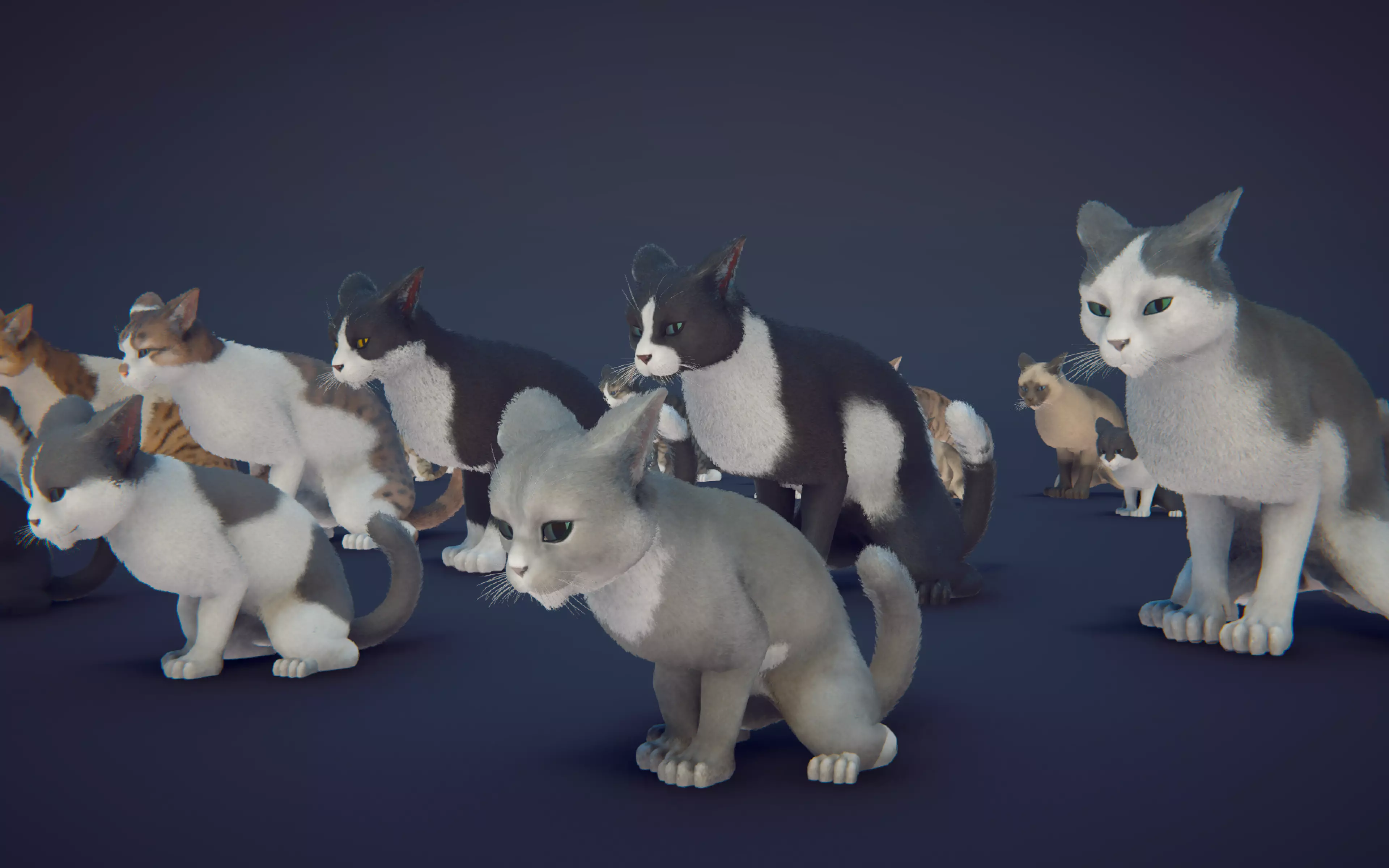 Cat Animset Pro Low-poly 3D model_36
