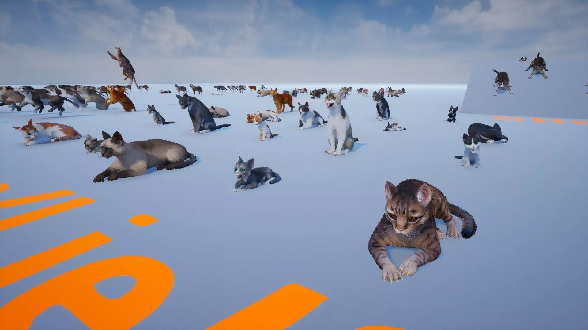 Cat Animset Pro Low-poly 3D model_27