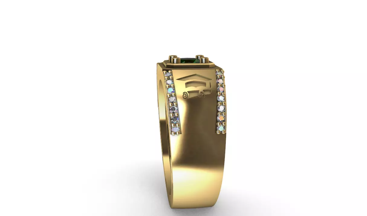anillo grado -v- 3D print model_2