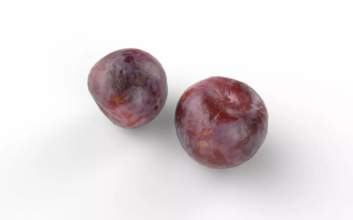 Plum M01 Low-poly 3D model_5