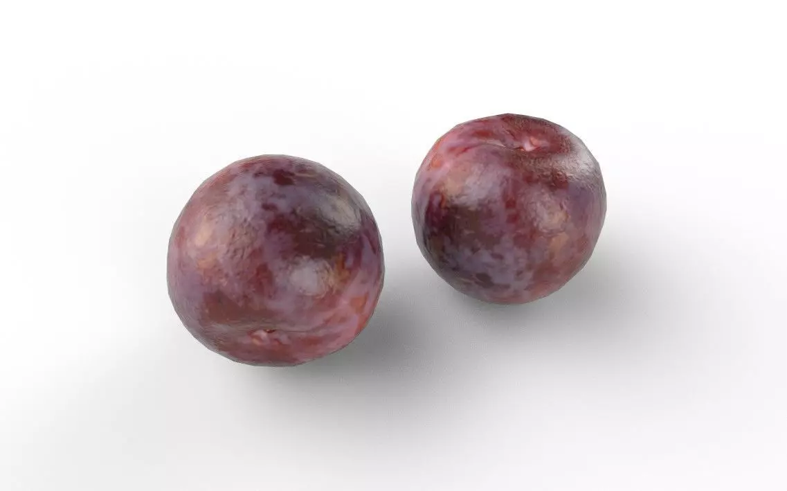 Plum M01 Low-poly 3D model_4