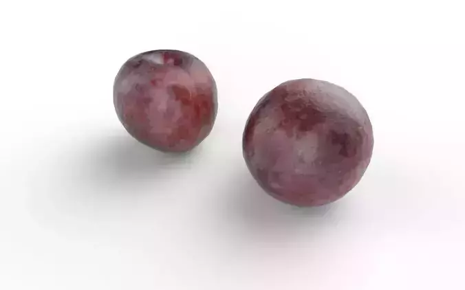 Plum  M02 Low-poly 3D model 4