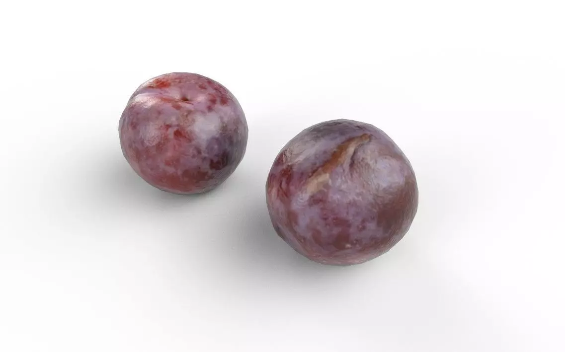 Plum M04 Low-poly 3D model_3