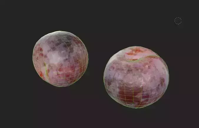 Plum  M04 Low-poly 3D model 7