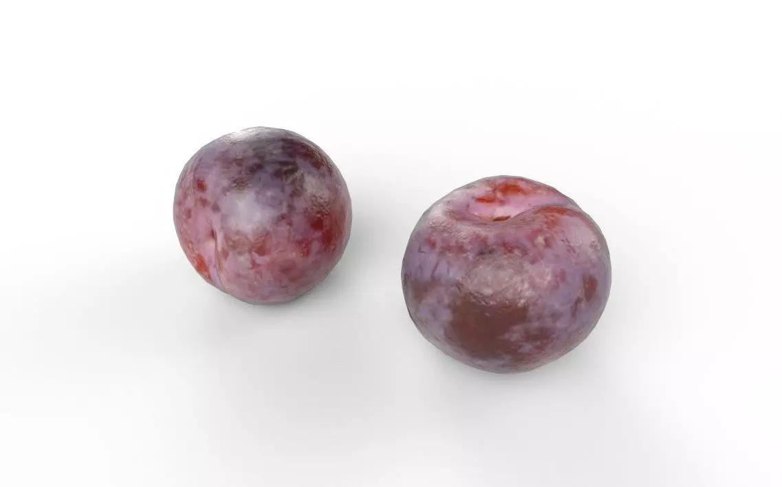 Plum M04 Low-poly 3D model_5