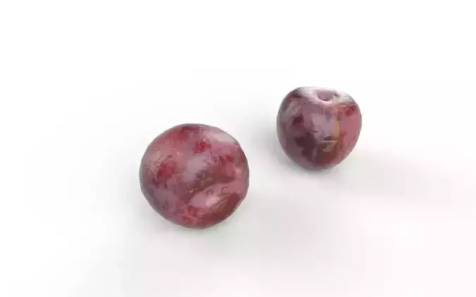 Plum  M05 Low-poly 3D model 5
