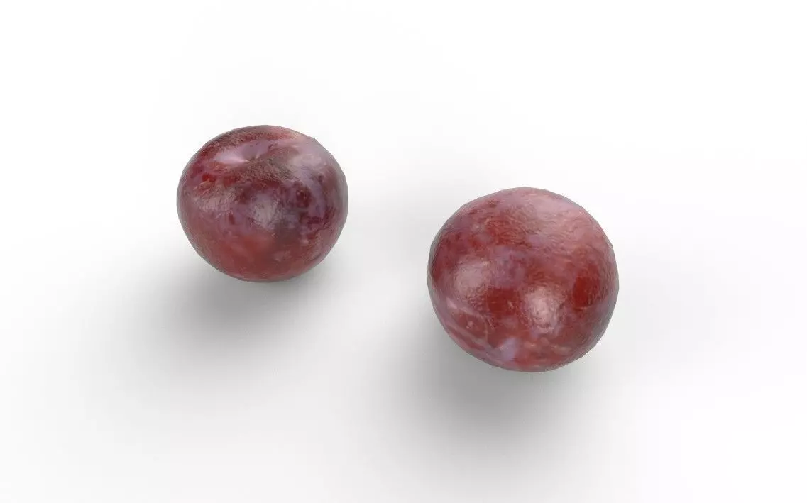 Plum M05 Low-poly 3D model_3
