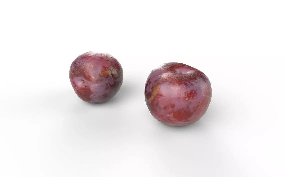 Plum M05 Low-poly 3D model_5