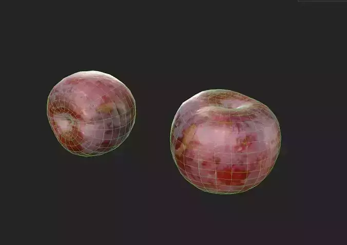Plum  M05 Low-poly 3D model 7